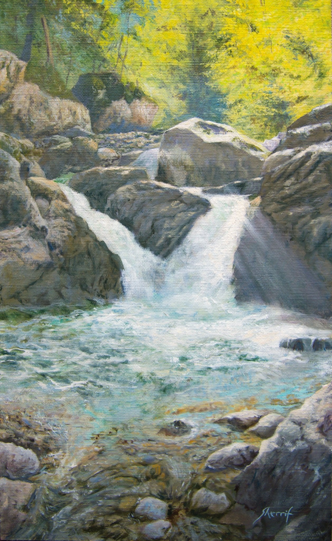 August splashes - Galerie Joseph Eric Sherriff